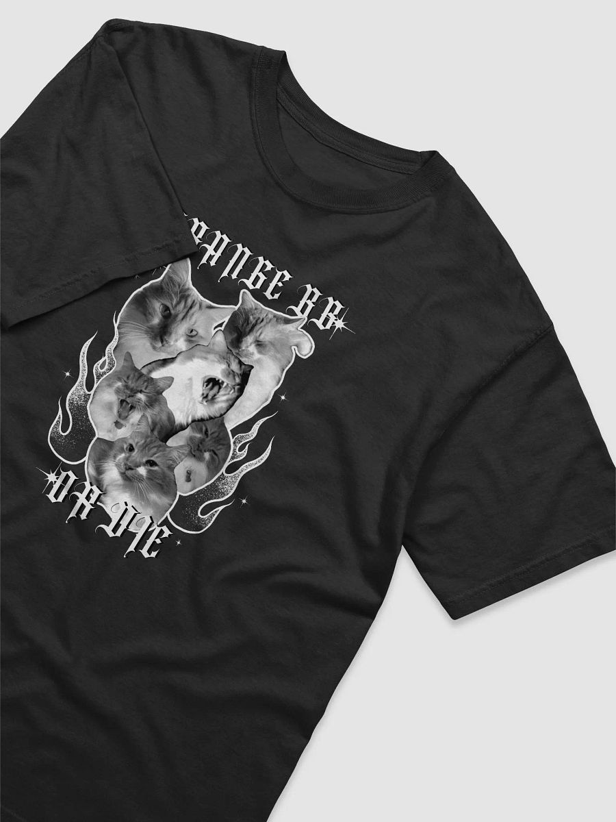 ORANGE BB OR DIE - Fundraiser T-Shirt product image (8)