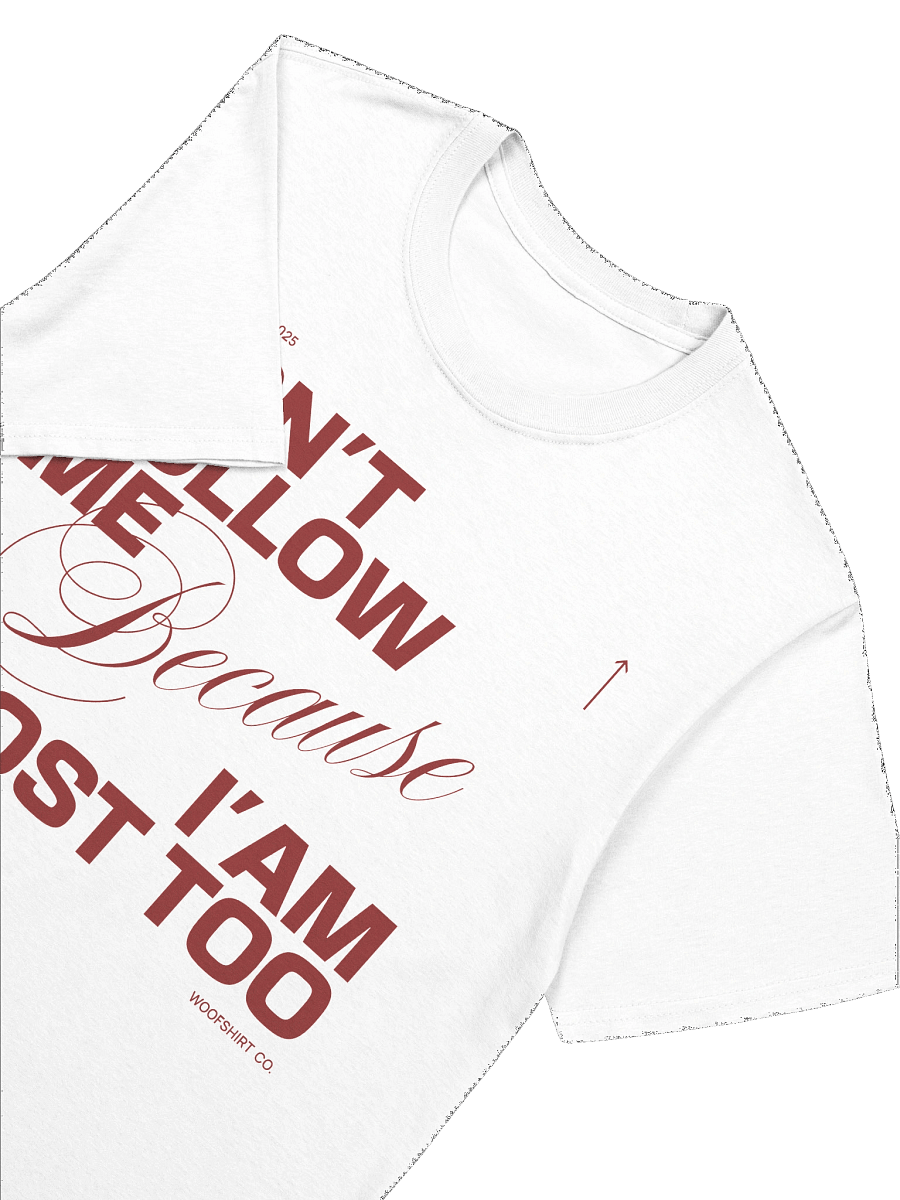 Don´t follow me | Unisex Softstyle T-Shirt by Gildan product image (6)