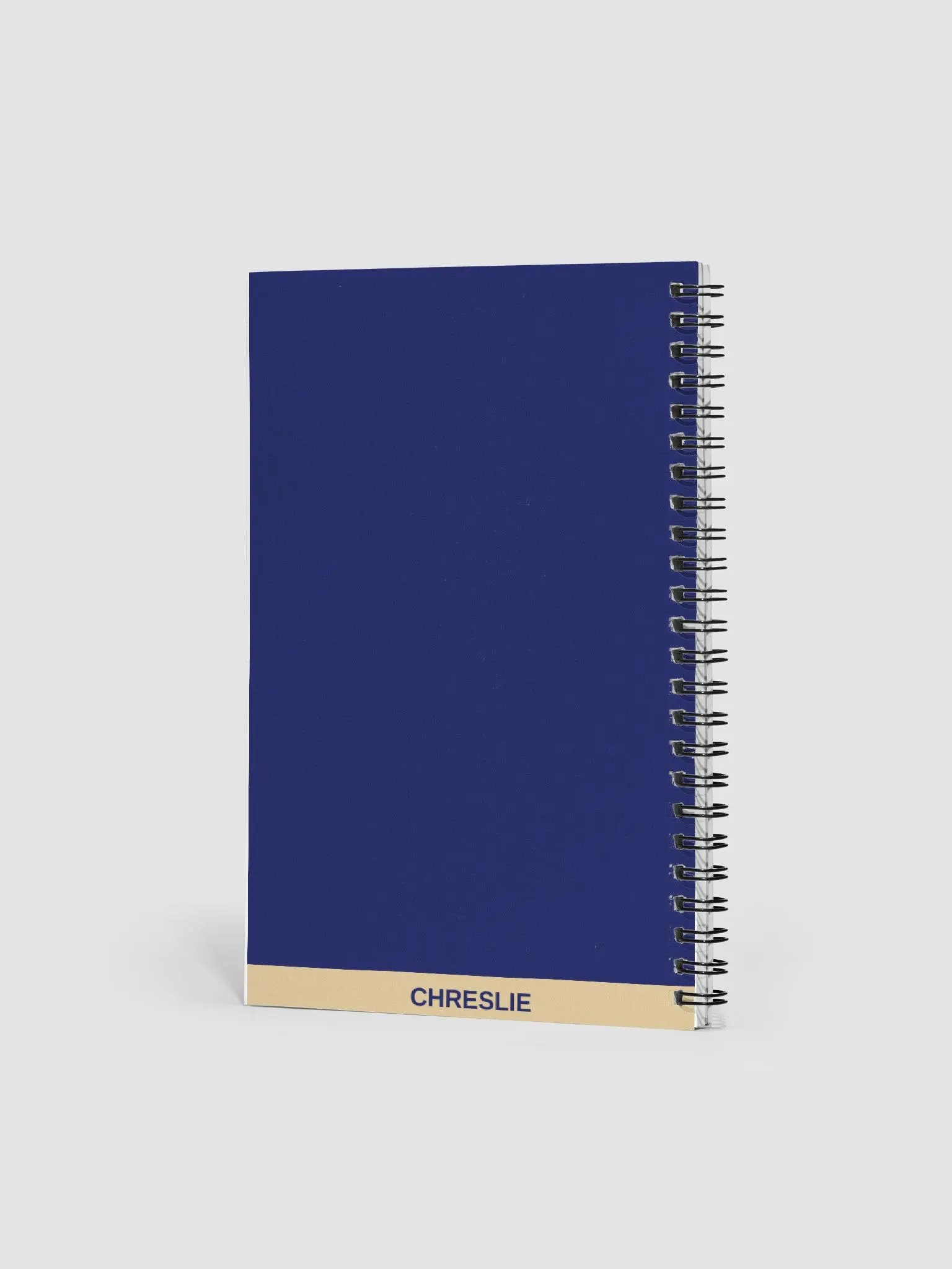 The LUXURY Notebook product image (3)
