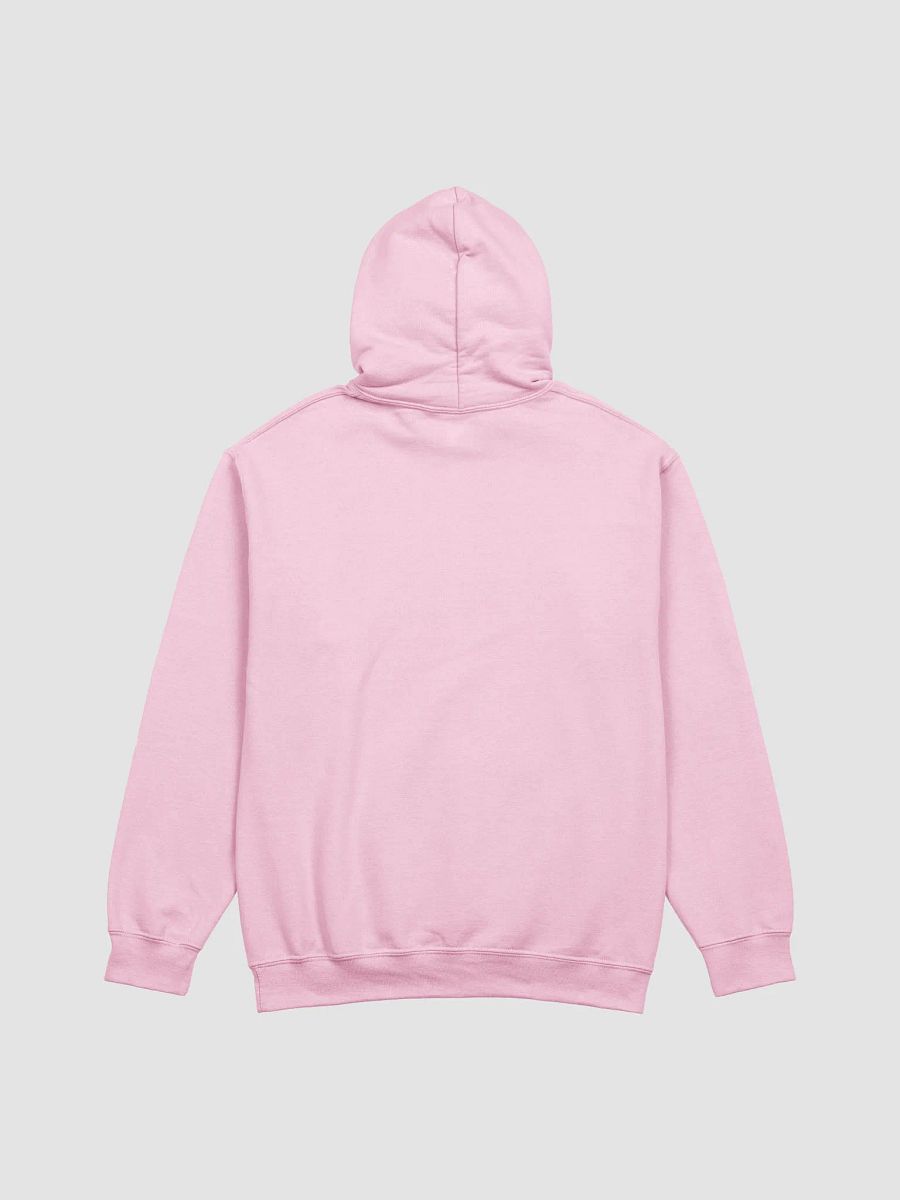 Taste JESUS Love Gildan Christian Hoodie product image (26)