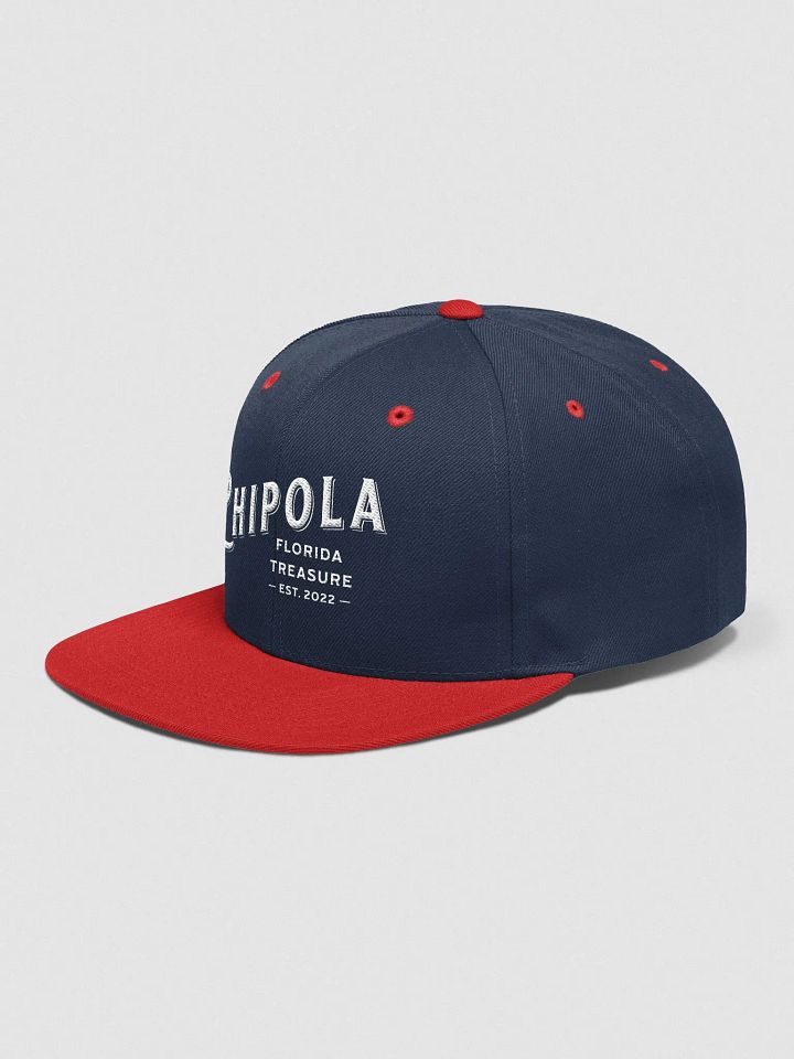 The Florida Treasure Snapback product image (11)