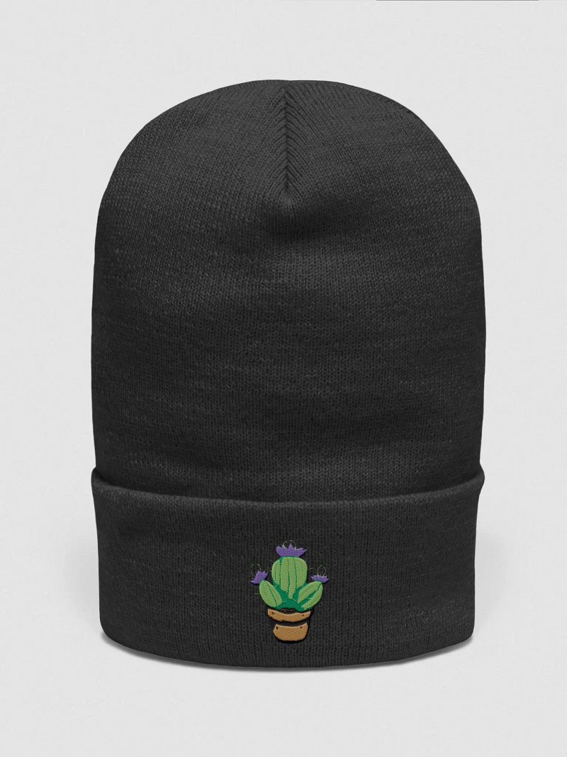 Cactus beanie!