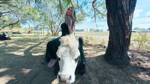 Happy Turkey Day 🐄 🦃