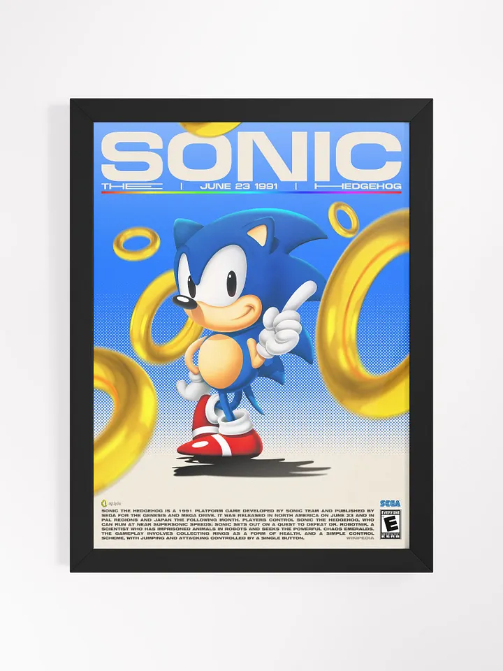 SONIC THE HEDGEHOG FRAME product image (1)