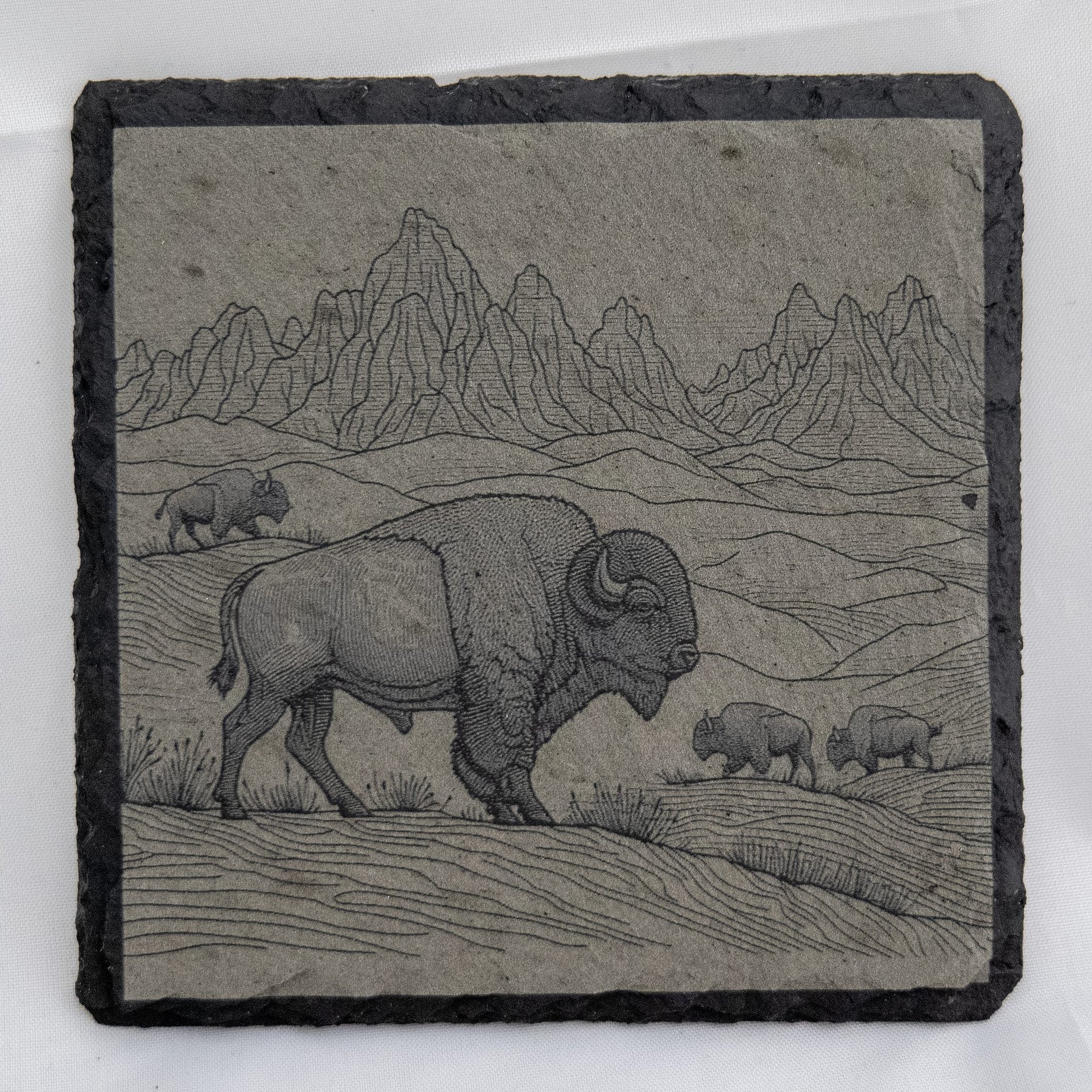 Badlands Buffalo product image (1)