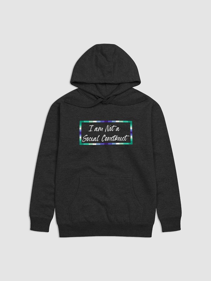 I am Not a Social Construct - Gay - Hoodie product image (1)