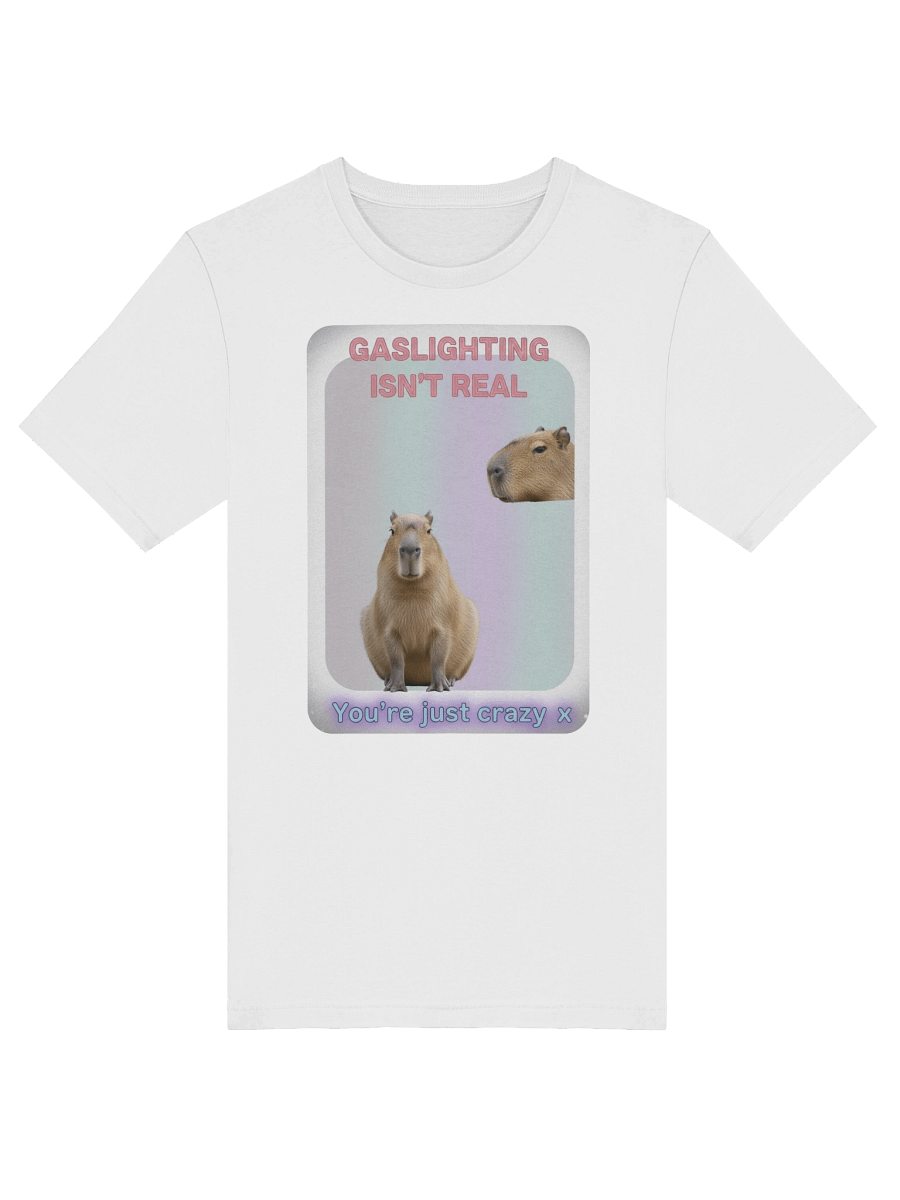 GASLIGHTING ISNT REAL product image (5)