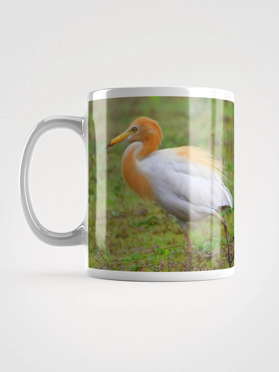 IUCAA Birds MUG product image (6)
