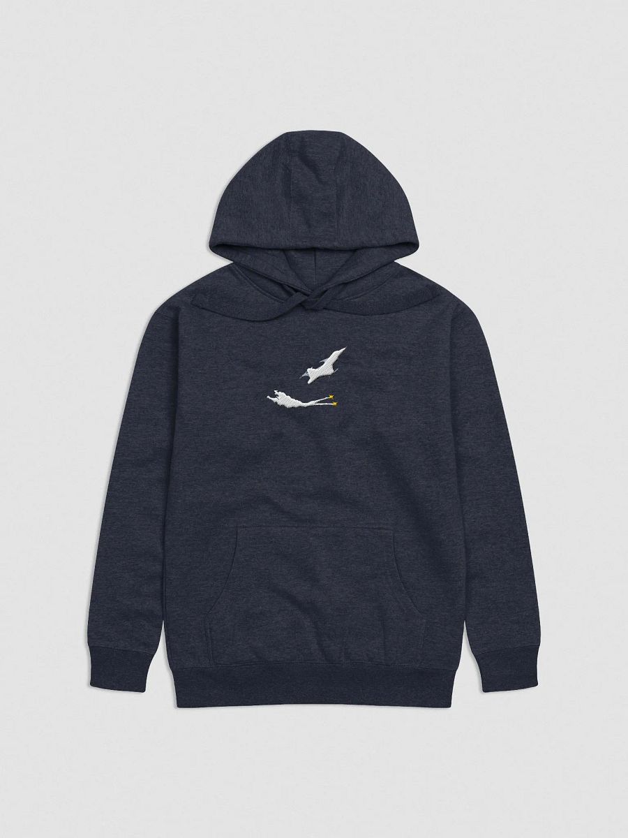 Embroidered Gripen Flares Hoodie product image (2)