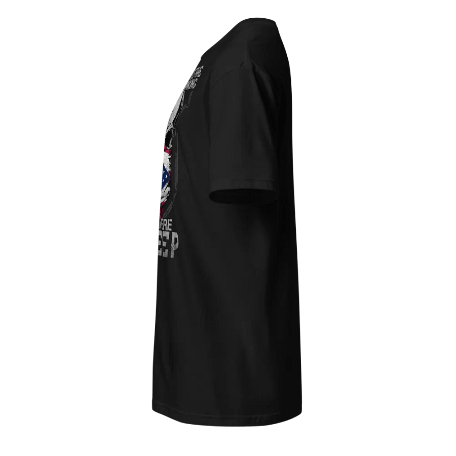 Ohio: Their First Mistake product image (4)