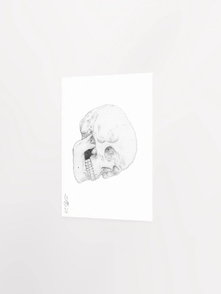 Skull Wall Art product image (3)
