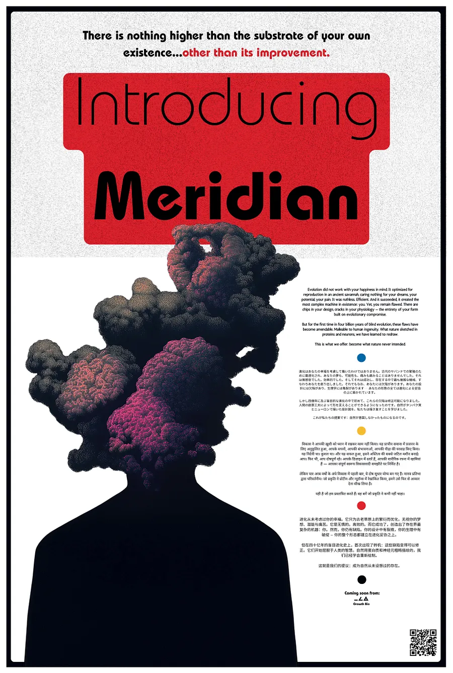introducing meridian product image (13)