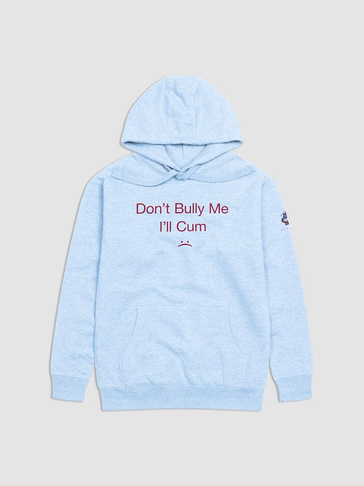 Bully Hoodie Light product image (1)