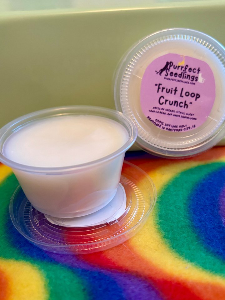 Fruit Loop Crunch Wax Melt product image (2)