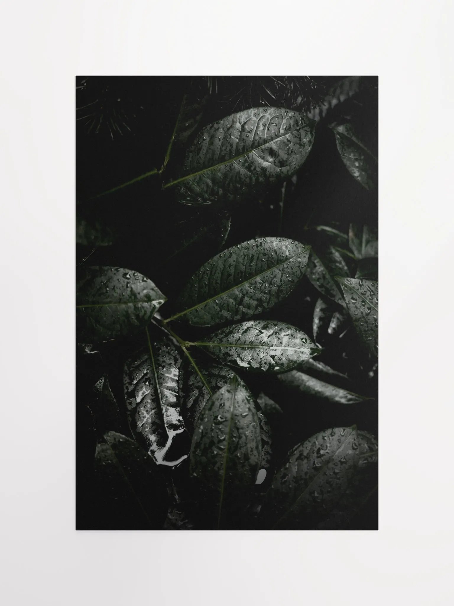 Winter Leaves - Matte Poster product image (1)