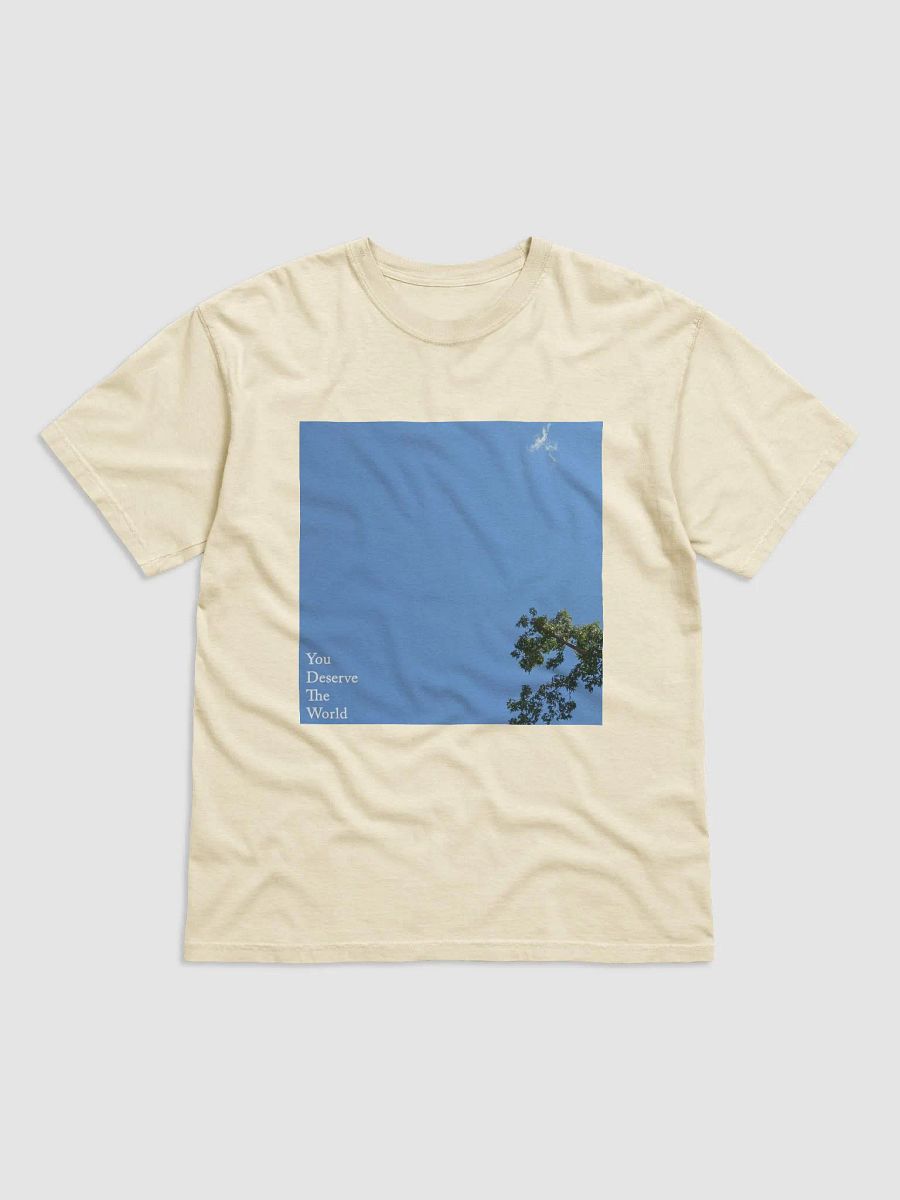 You Deserve The World T-Shirt product image (1)