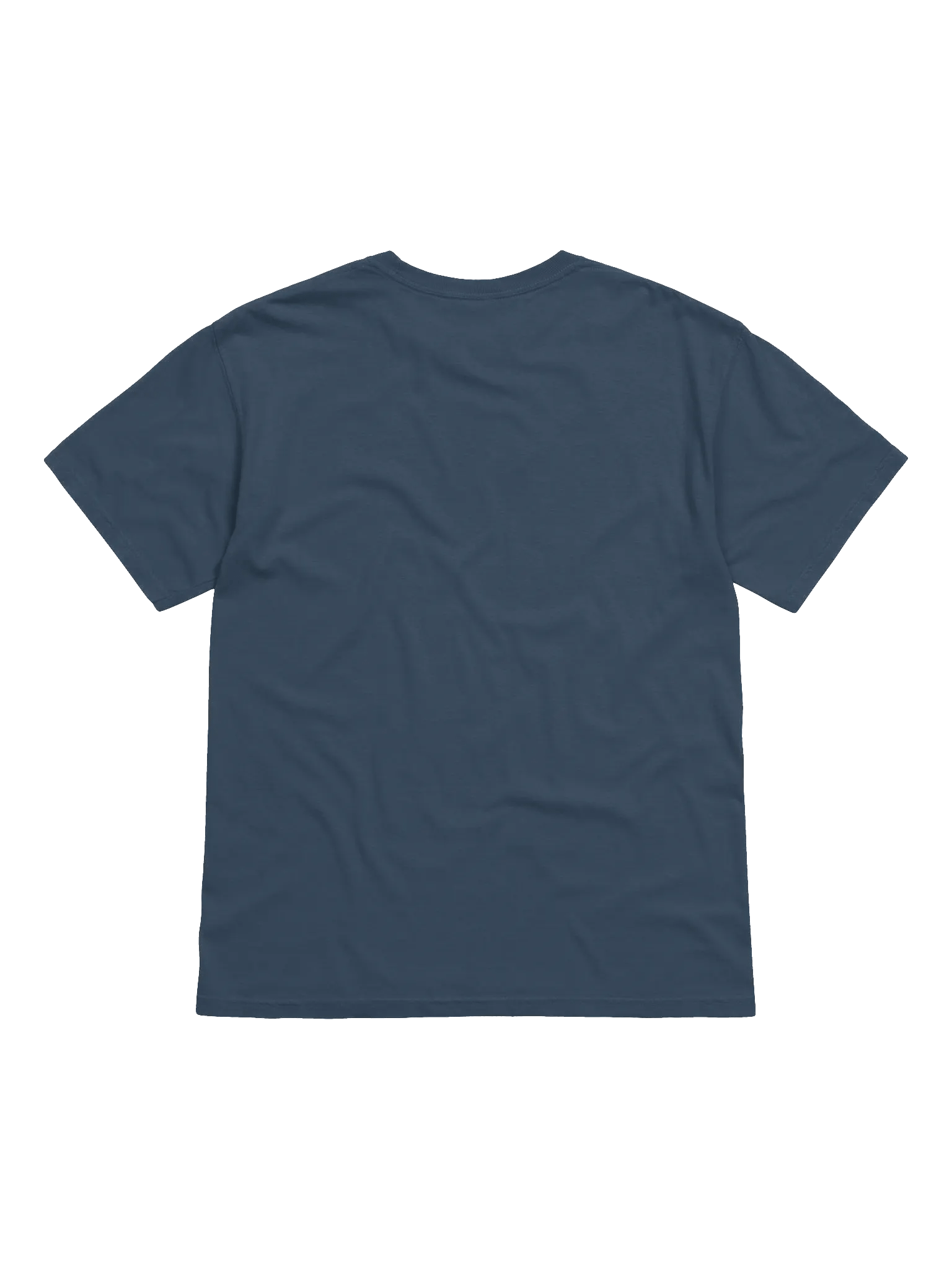 Wasteland Wanderers CC Tee product image (2)