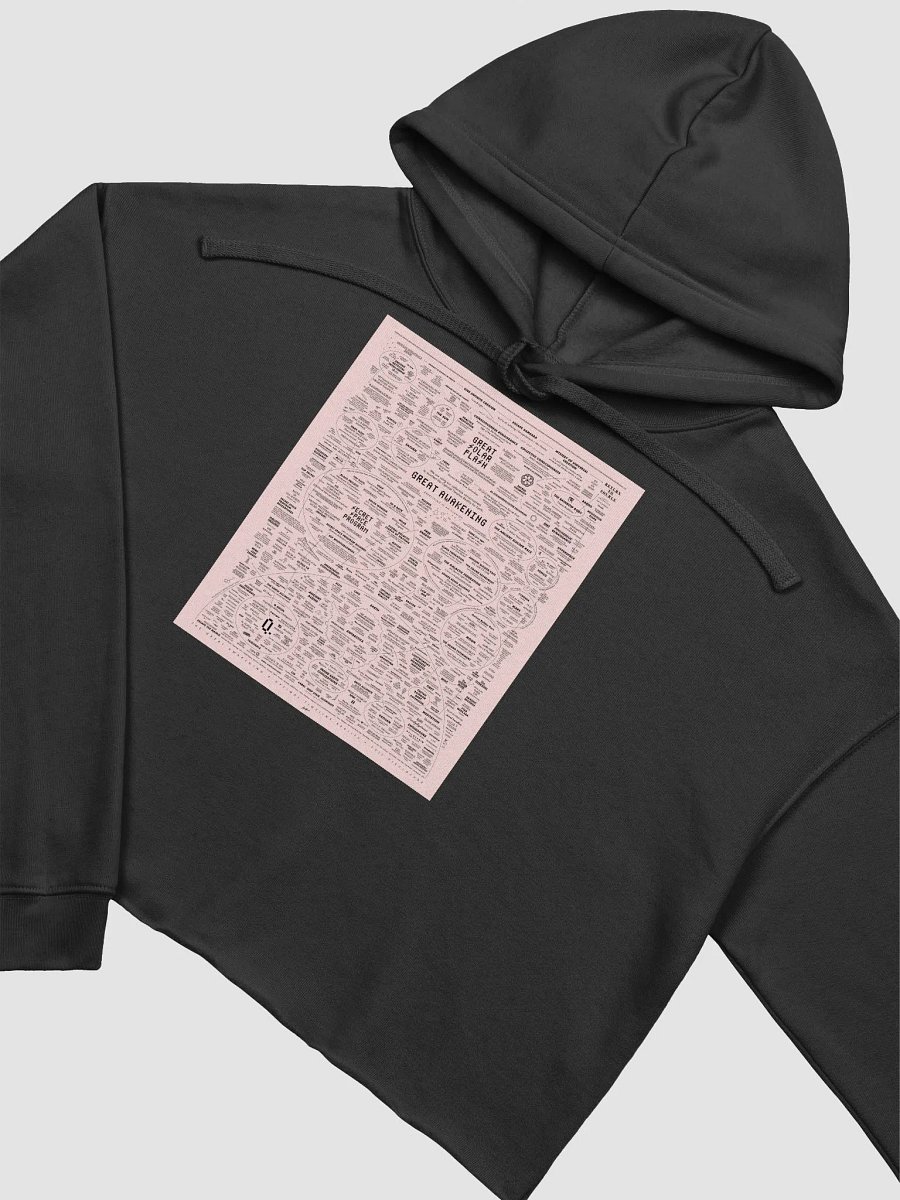 The Great Awakening Cropped Hoodie product image (12)