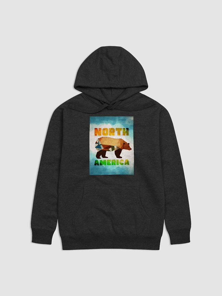 North America - Brown Bear product image (1)