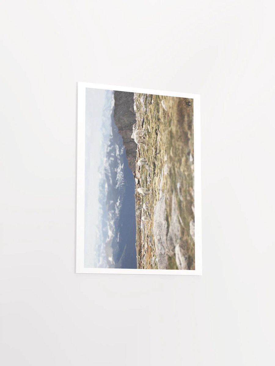 Mountain Goats Grazing Poster product image (20)