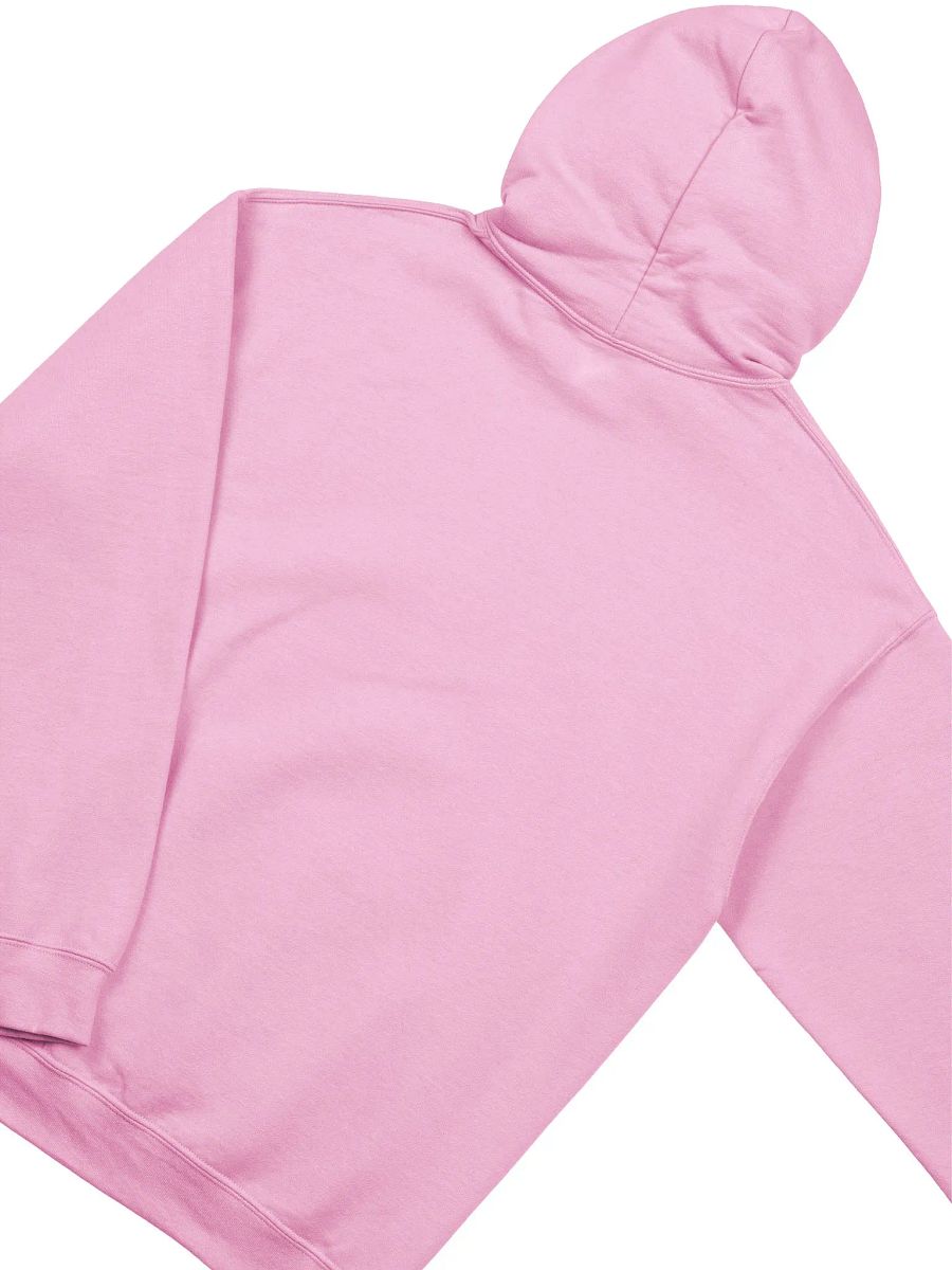 Thrift Diving Hoodie product image (3)