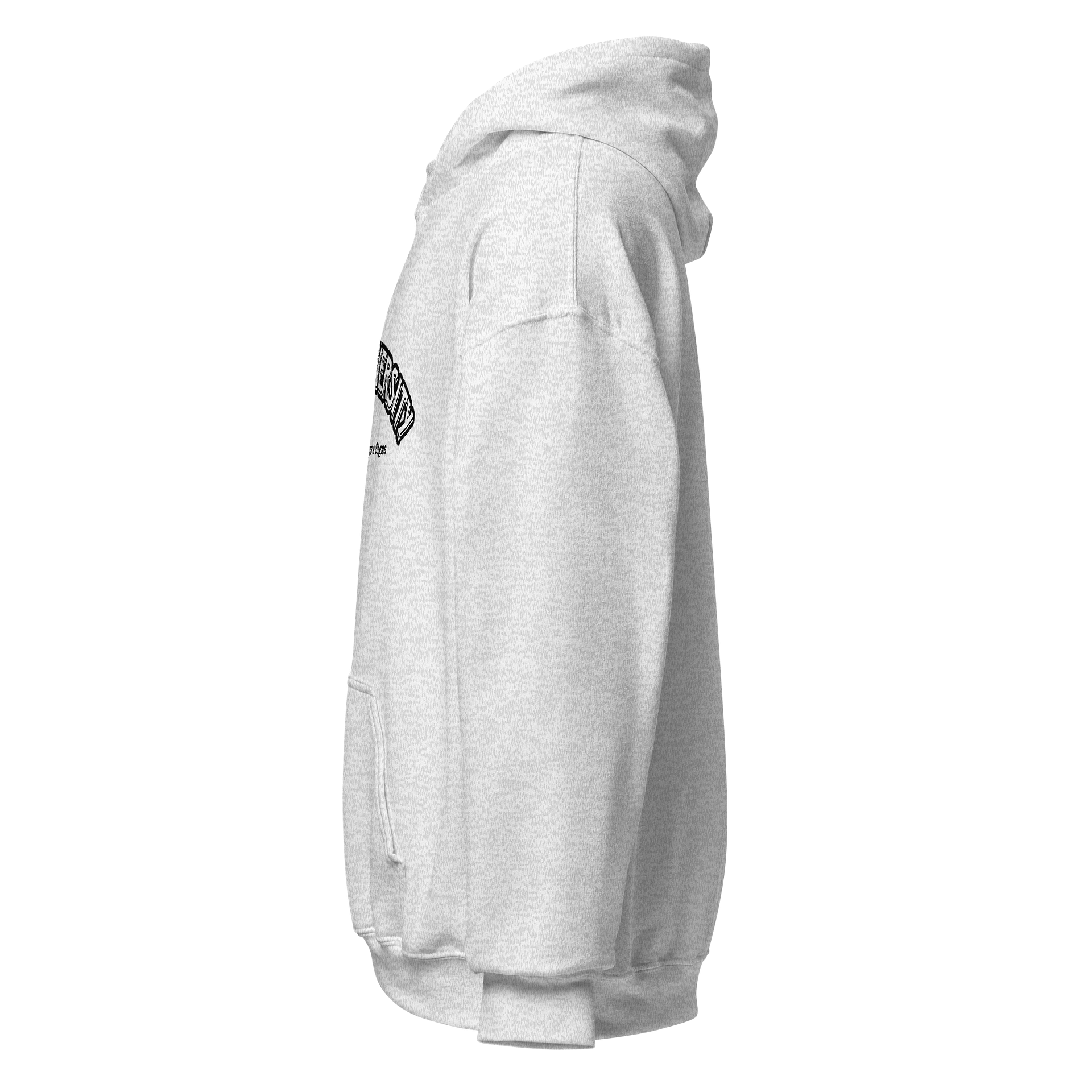 Sigma University Hoodie (Black Text) product image (40)