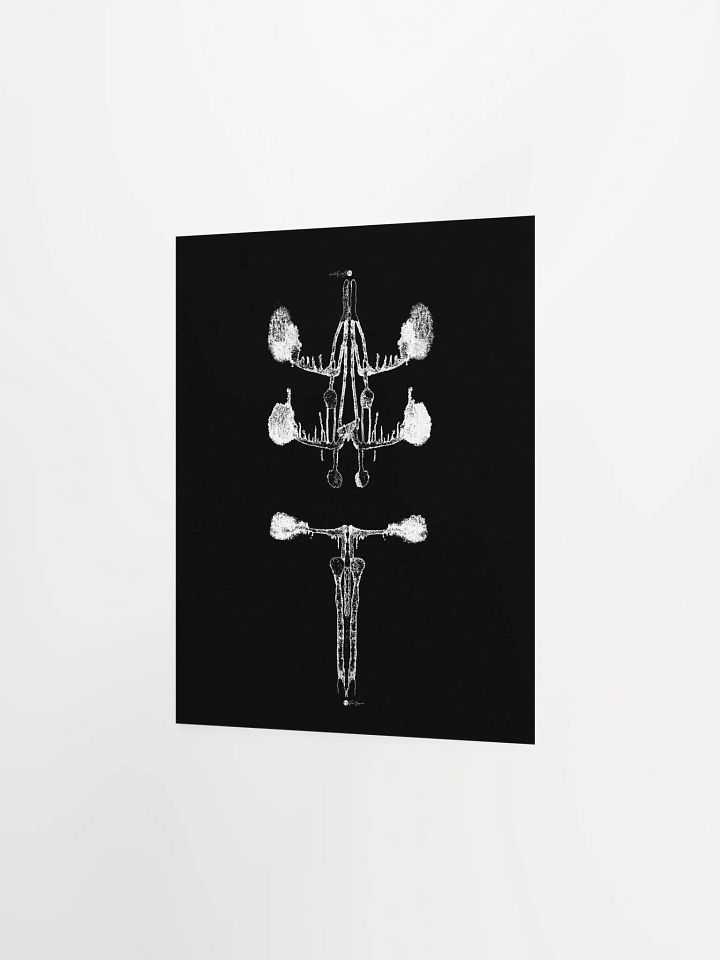Inkblot no.4 | Poster/Print | 8x10 product image (2)