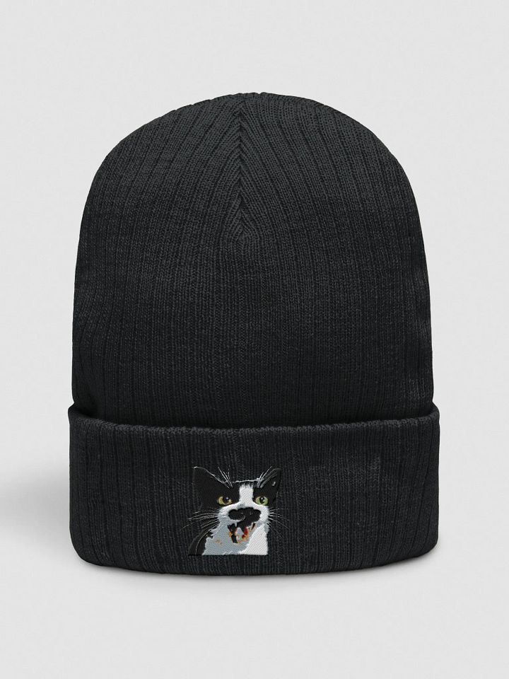 Loki Cuffed Beanie product image (1)