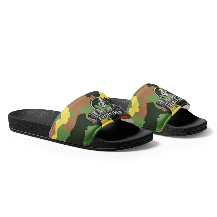 WRE Slides!! product image (1)