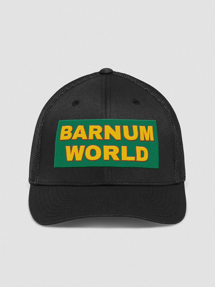 Barnum World FLEX Flexfit Mash Back Trucker Hat product image (1)