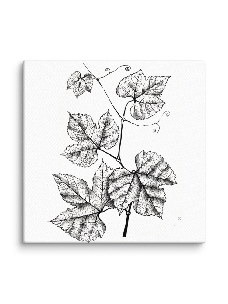 Botanical Bliss Canvas Art - Grape Leaves product image (2)