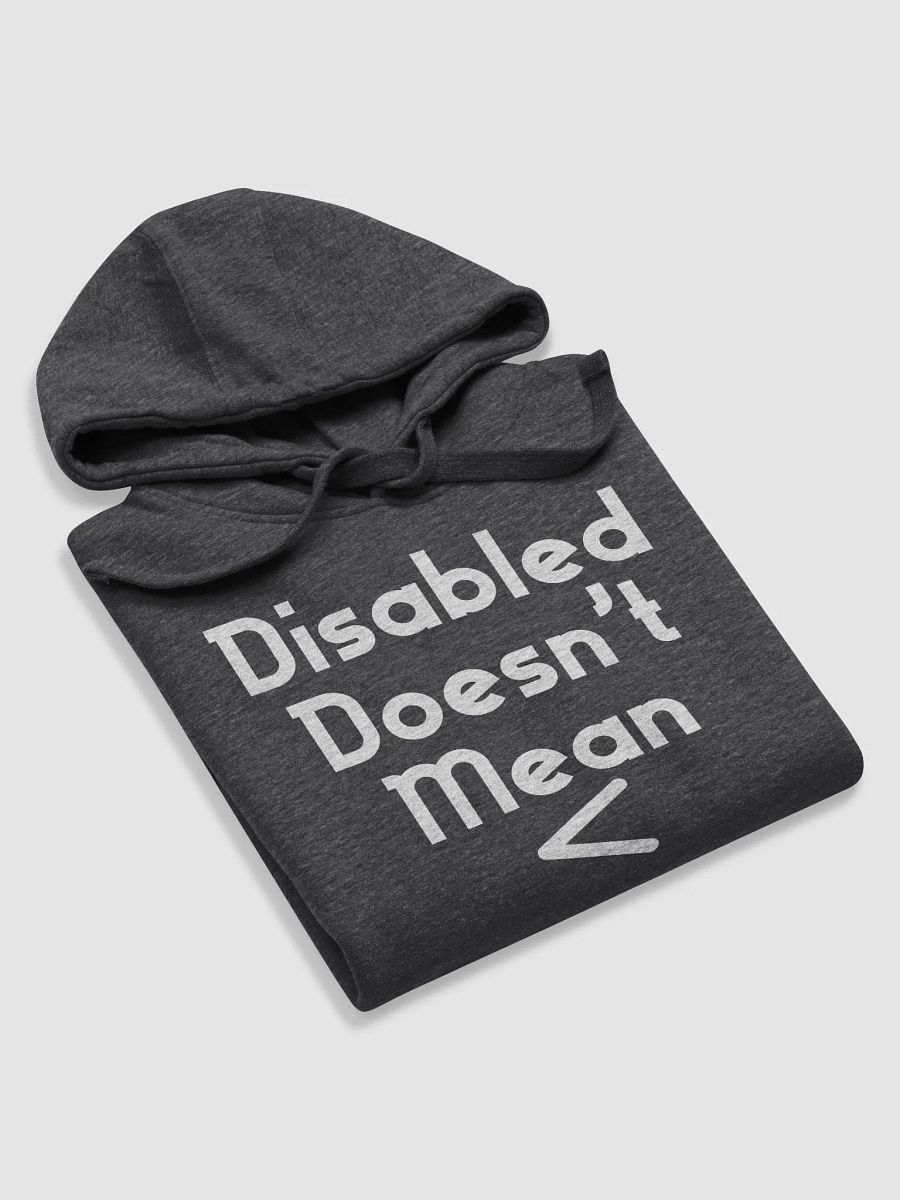 Disabled Doesn't Mean < Hoodie product image (1)