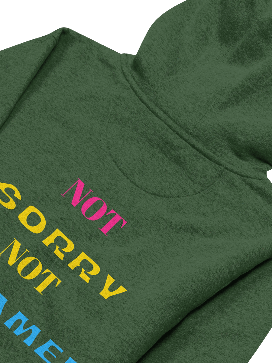 Not Sorry Not Ashamed (Pan Edition) product image (4)
