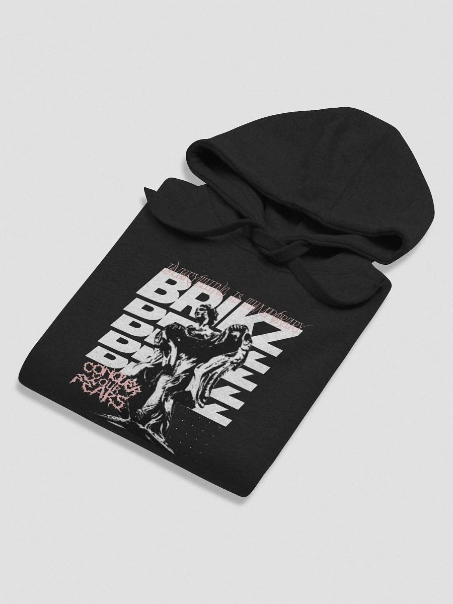 Conquer your fears Hoodie product image (4)