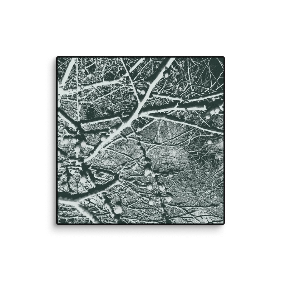 Mycotic product image (1)