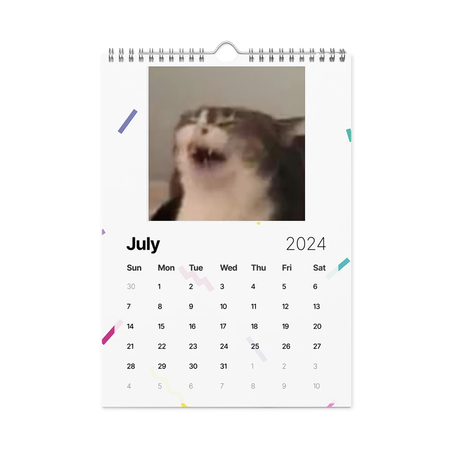 Wall Calendar (2024): Meme Cats product image (10)