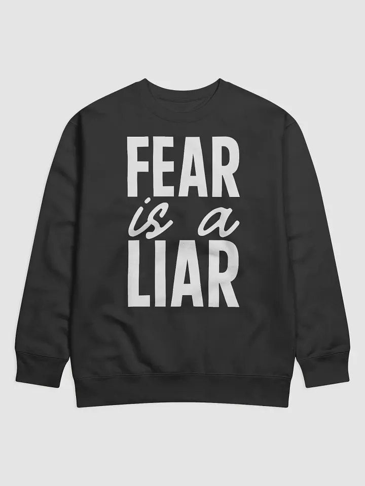 Fear Is A Liar Hoodie product image (1)