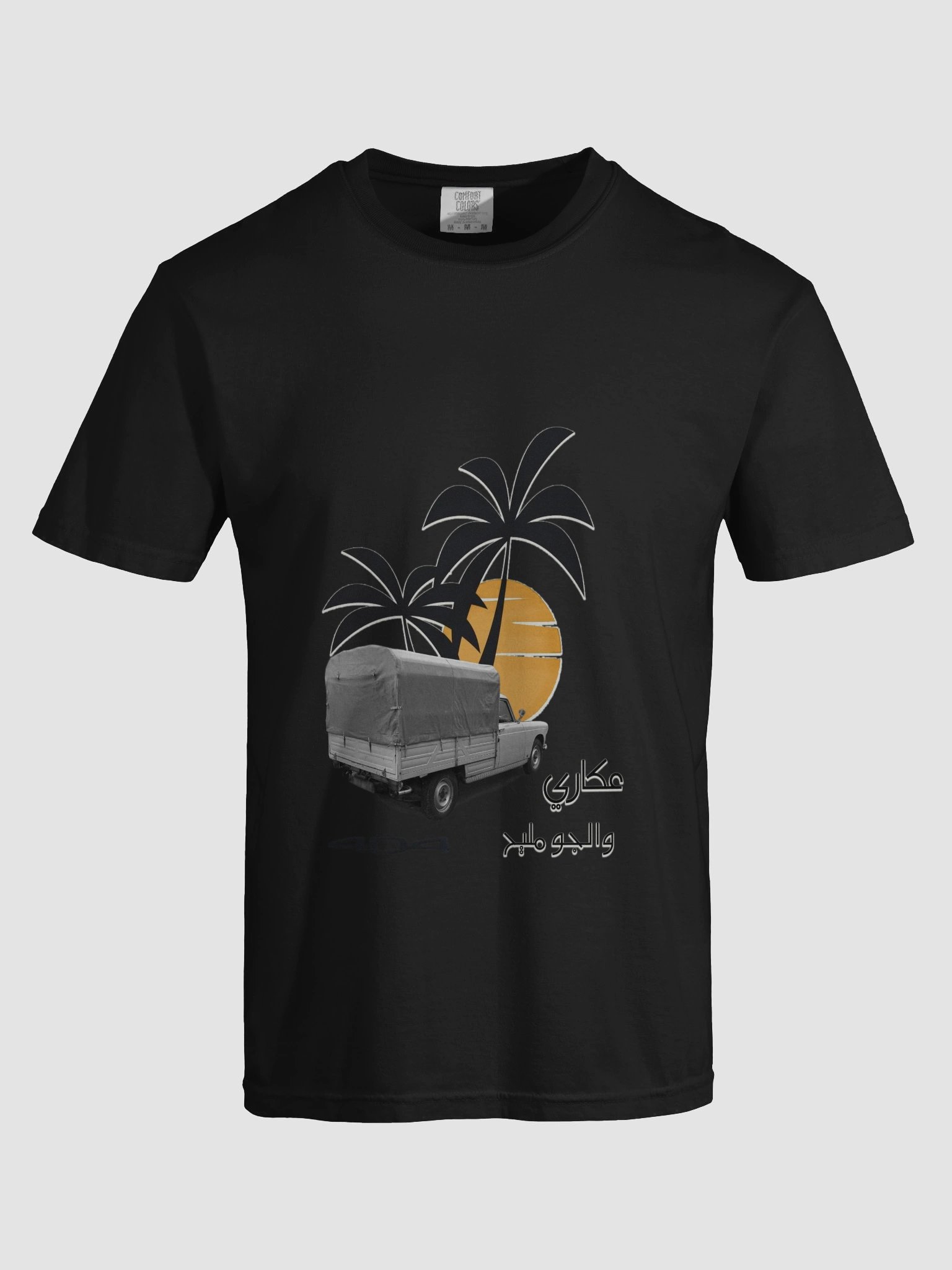 PEUGEOT 404 libyan oldes product image (25)