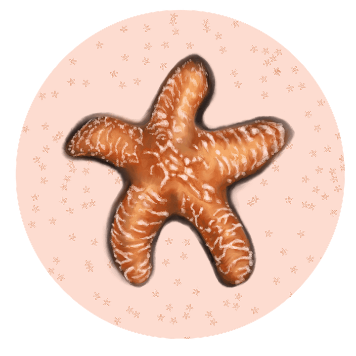 Starfish Sticker product image (1)