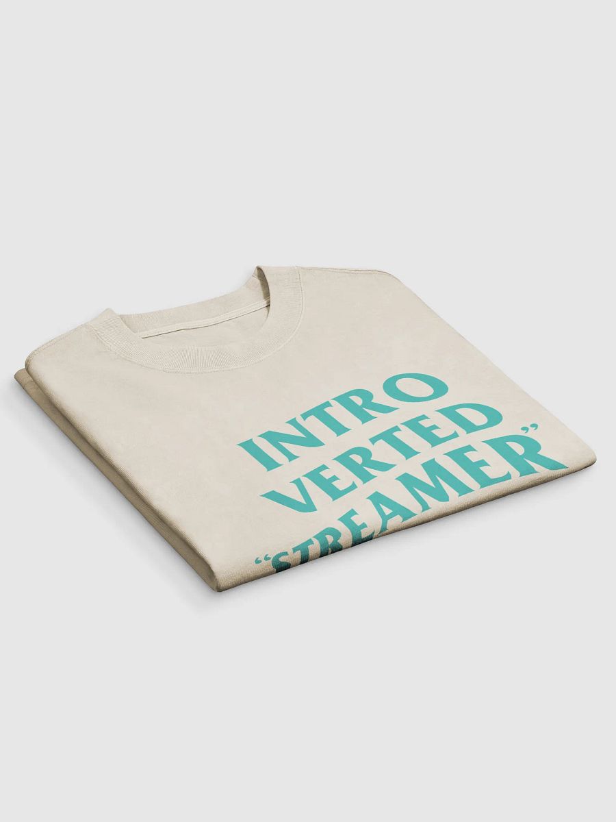Introverted Streamer Club "Gunra Ed." Oversized Tee product image (23)
