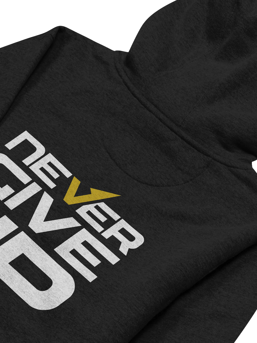 Never Give Up! Back Printed Hoodie product image (57)
