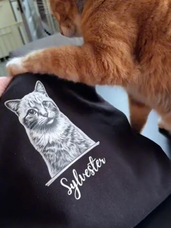SYLVESTER 💙 / PRINTED HOODIE product image (1)