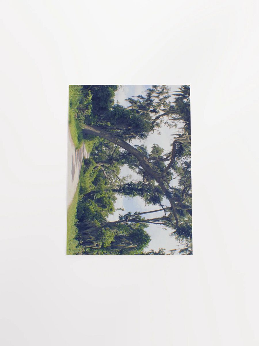 Gates of Heaven product image (42)