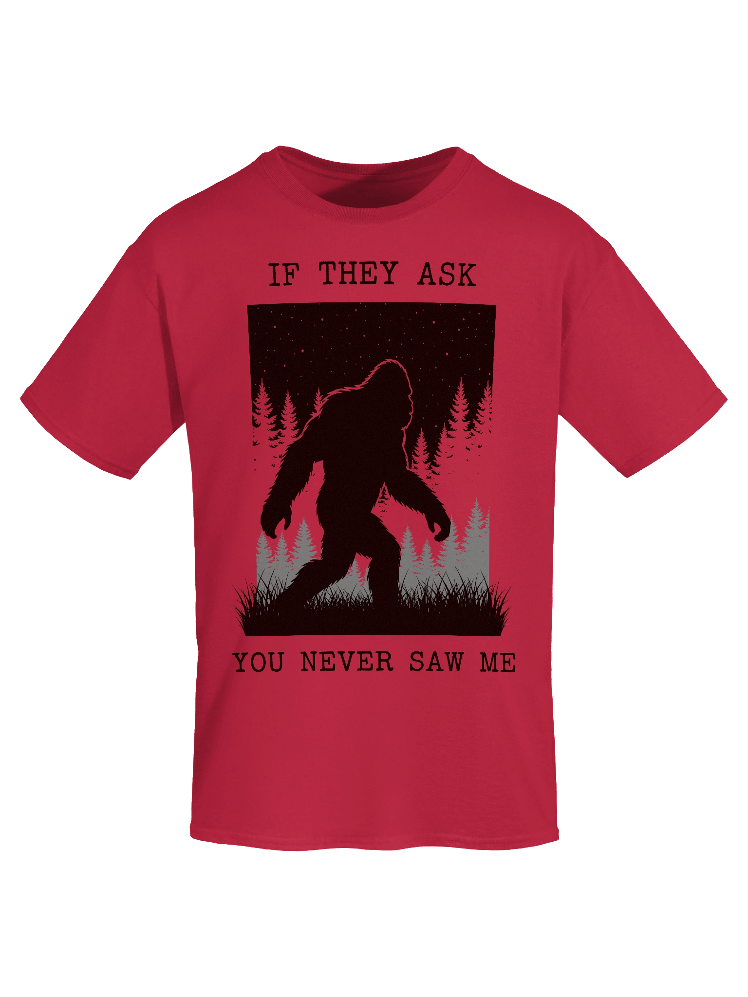 If They Ask You Never Saw Me - Tee product image (13)