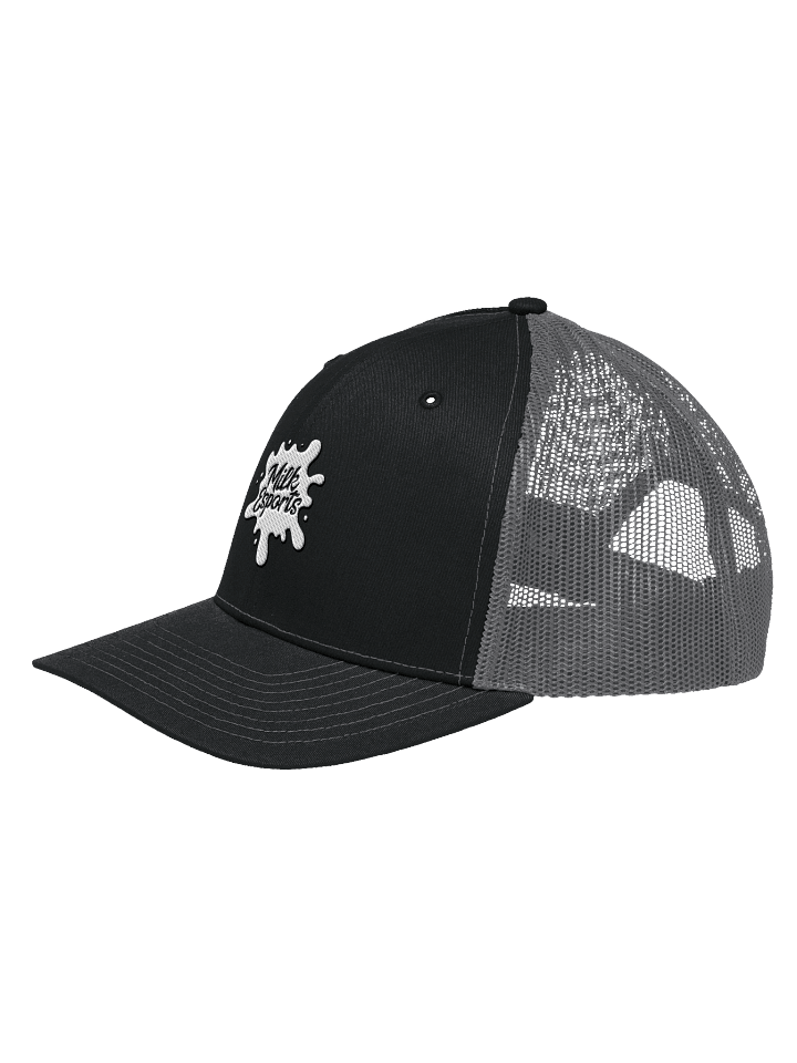 Splash Snapback: Milk Esports Edition product image (2)