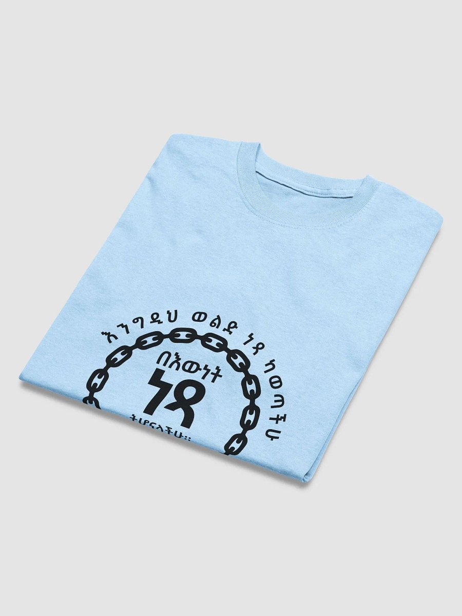 'John 8:36' T-shirt product image (3)