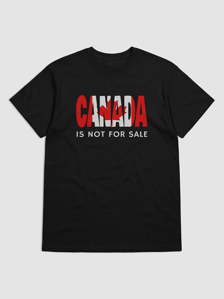 Canada Is Not For Sale Gildan Heavyweight T-Shirt product image (4)