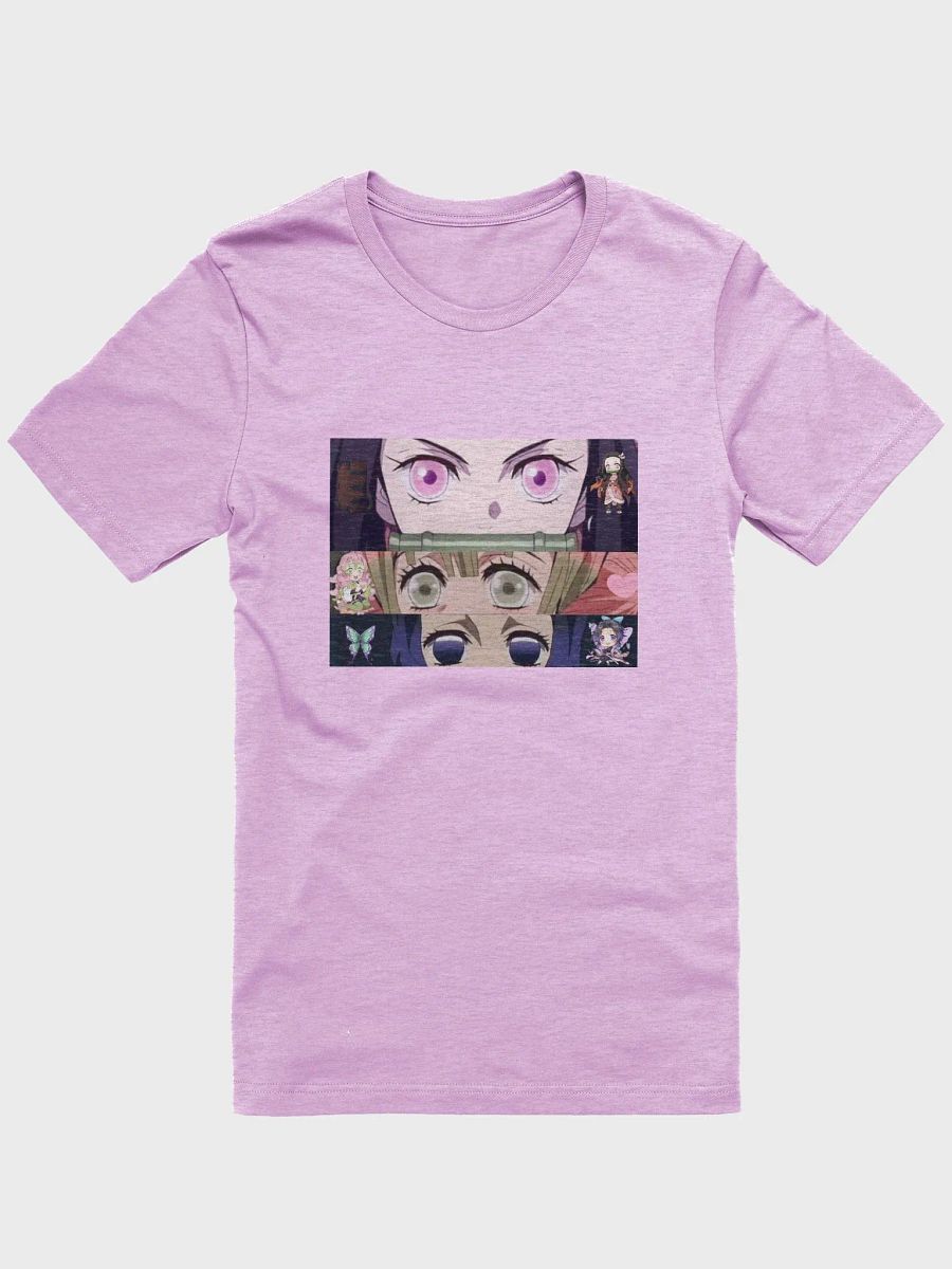 DS product image (1)