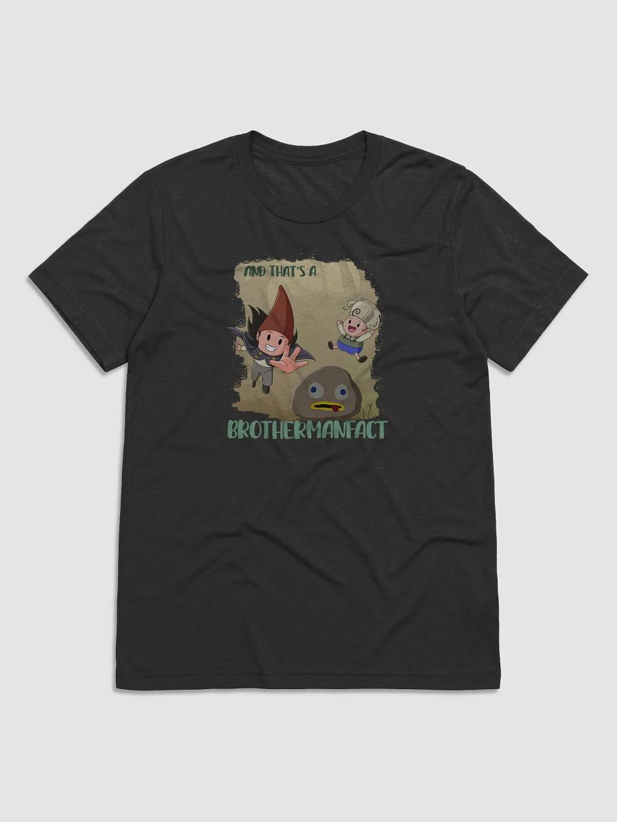 A BrotherFACT! (Triblend T-Shirt) product image (19)