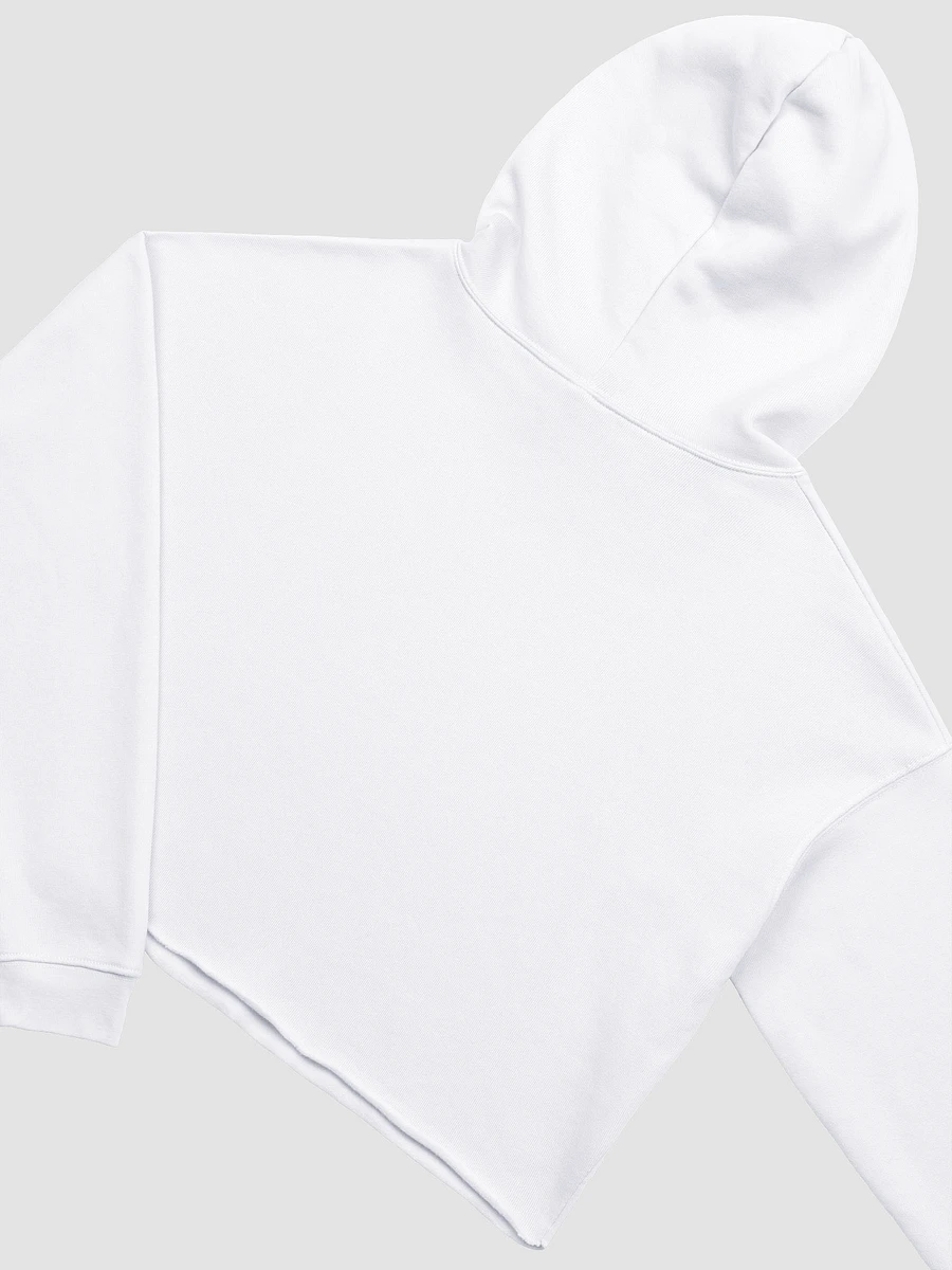 Goopii & Trashnuki - Crop Hoodie product image (4)